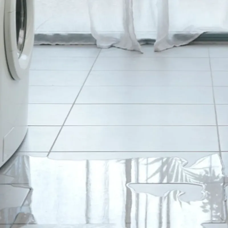 Appliance Leak Cleanup in Ashland, KS