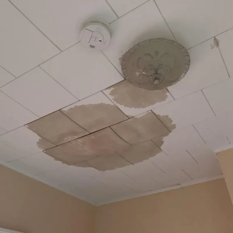Ceiling Water Damage Repair in Ashland, KS
