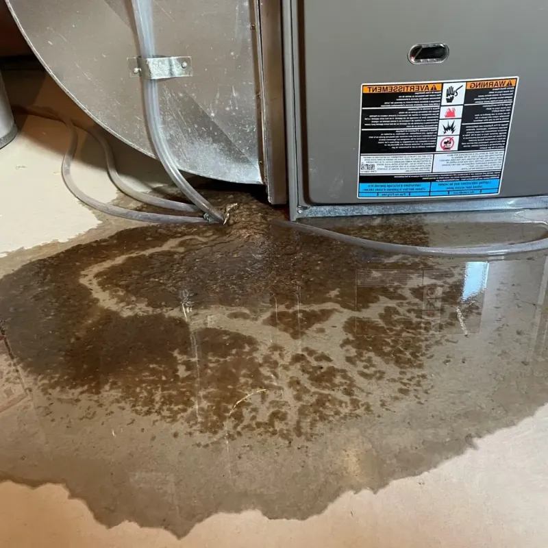 Pipe Burst and Leak Restoration in Ashland, KS