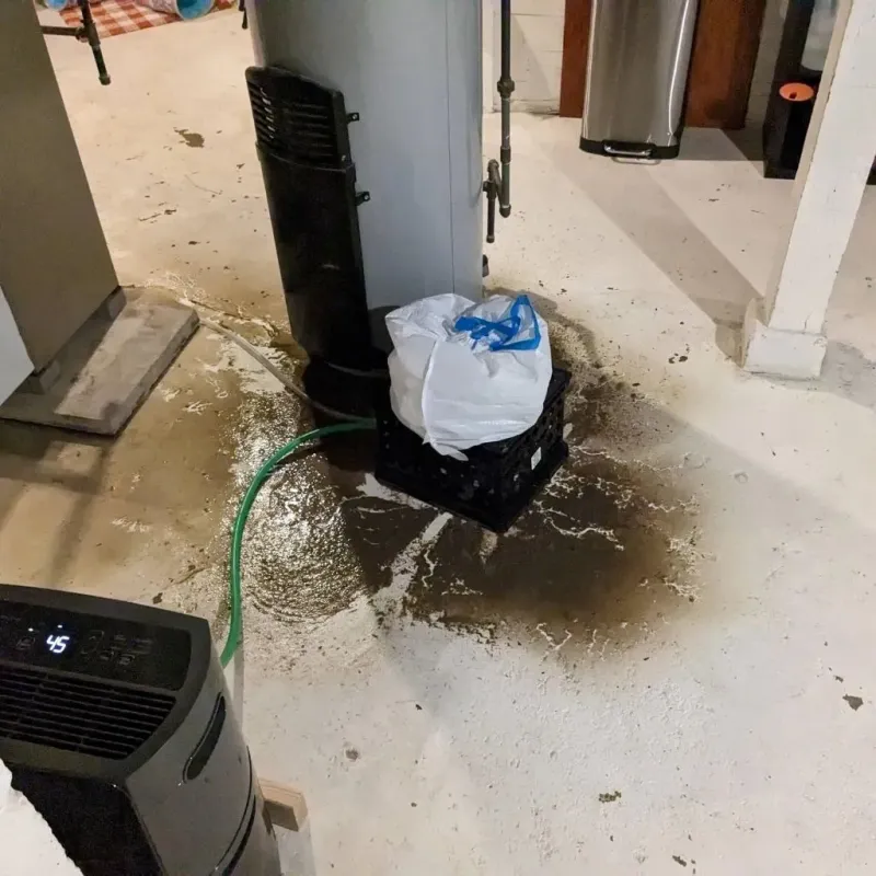 Sewage Backup Cleanup Service in Ashland, KS